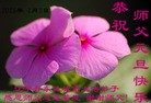 Published on 12/31/2014 ���ֹ�,��½�󷨵��ӹ�ףʦ��Ԫ������(28��)
