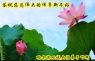 ���ֹ�,�������󷨵��ӹ�ףʦ��Ԫ������(20��)
