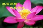 ���ֹ�,��ľ˹�󷨵��ӹ�ףʦ��Ԫ������(23��)
