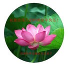 ���ֹ�,���ϴ󷨵��ӹ�ףʦ��Ԫ������(23��)
