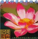 ���ֹ�,�Ϻ��󷨵��ӹ�ףʦ��Ԫ������(23��)
