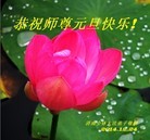 ���ֹ�,���ϴ󷨵��ӹ�ףʦ��Ԫ������(21��)
