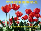 ���ֹ�,�ӱ��󷨵��ӹ�ףʦ��Ԫ������(24��)

