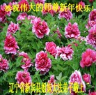 ���ֹ�,�����󷨵��ӹ�ףʦ��Ԫ������(24��)
