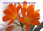 Published on 12/30/2014 ���ֹ�,����ϵͳ�󷨵��ӹ�ףʦ��Ԫ������(21��)

