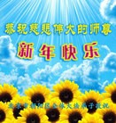 ���ֹ�,�����󷨵��ӹ�ףʦ��Ԫ������(24��)
