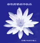 ���ֹ�,����ʡ�󷨵��ӹ�ףʦ��Ԫ������(26��)
