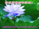 Published on 12/31/2014 ���ֹ�,����ҵ�󷨵��ӹ�ףʦ���������
