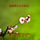 ���ֹ�,���մ󷨵��ӹ�ףʦ��Ԫ������(25��)
