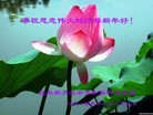 ���ֹ�,��ľ˹�󷨵��ӹ�ףʦ��Ԫ������(25��)
