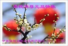 Published on 12/31/2014 ���ֹ�,����ҵ�󷨵��ӹ�ףʦ���������
