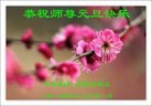 Published on 12/31/2014 ���ֹ�,����ҵ�󷨵��ӹ�ףʦ���������
