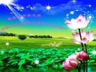 ���ֹ�,�ػʵ��󷨵��ӹ�ףʦ��Ԫ������(24��)

