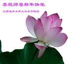 ���ֹ�,��½�󷨵��ӹ�ףʦ��Ԫ������(108��)
