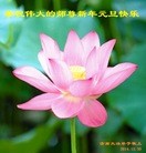 ���ֹ�,��½�󷨵��ӹ�ףʦ��Ԫ�����֣�71����
