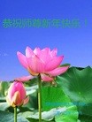 ���ֹ�,��½�󷨵��ӹ�ףʦ��Ԫ�����֣�71����
