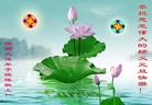 ���ֹ�,��½�󷨵��ӹ�ףʦ��Ԫ������(51��)

