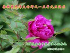 Published on 1/1/2015 ���ֹ�,��½�󷨵��ӹ�ףʦ��Ԫ������(51��)
