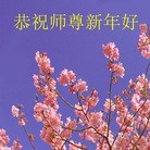 ���ֹ�,��½�󷨵��ӹ�ףʦ��Ԫ������(51��)
