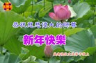 Published on 1/30/2014 ���ֹ�,��½�󷨵��ӹ�ףʦ���������(29��)
