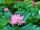 Published on 1/31/2014 ���ֹ�,��½�󷨵��ӹ�ףʦ���������(40��)
