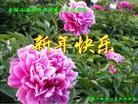 Published on 1/30/2014 ���ֹ�,��½�󷨵��ӹ�ףʦ���������(32��)
