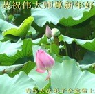 ���ֹ�,�ൺ�󷨵��ӹ�ףʦ���������(28��)
