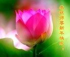 Published on 1/31/2014 ���ֹ�,��½�󷨵��ӹ�ףʦ���������(33��)
