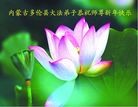 Published on 1/30/2014 ���ֹ�,��½�󷨵��ӹ�ףʦ���������(27��)
