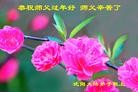 Published on 1/30/2014 ���ֹ�,��½�󷨵��ӹ�ףʦ���������(27��)
