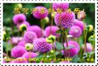 Published on 2/3/2014 ���ֹ�,��½�󷨵��ӹ�ףʦ���������(26��)
