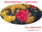 Published on 2/2/2014 ���ֹ�,��½�󷨵��ӹ�ףʦ���������(41��)
