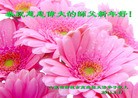 Published on 2/4/2014 ���ֹ�,��½�󷨵��ӹ�ףʦ���������(38��)
