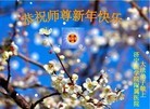 Published on 1/30/2014 ���ֹ�,��½�󷨵��ӹ�ףʦ���������(28��)
