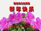 Published on 1/30/2014 ���ֹ�,��½�󷨵��ӹ�ףʦ���������(28��)
