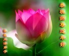Published on 2/4/2014 ���ֹ�,��½�󷨵��ӹ�ףʦ���������(32��)
