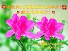 Published on 1/30/2014 ���ֹ�,��½�󷨵��ӹ�ףʦ���������(37��)
