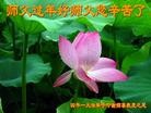 Published on 2/1/2014 ���ֹ�,��½�󷨵��ӹ�ףʦ���������(24��)
