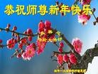 Published on 2/1/2014 ���ֹ�,��½�󷨵��ӹ�ףʦ���������(24��)
