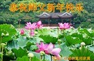 Published on 2/2/2014 ���ֹ�,���������˹�ף���ʦ�����(25��)
