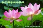 Published on 1/31/2014 ���ֹ�,��½�󷨵��ӹ�ףʦ���������(33��)
