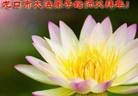 Published on 2/3/2014 ���ֹ�,��½�󷨵��ӹ�ףʦ���������(26��)
