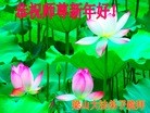 Published on 2/3/2014 ���ֹ�,��½�󷨵��ӹ�ףʦ���������(26��)
