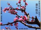 Published on 1/30/2014 ���ֹ�,��½�󷨵��ӹ�ףʦ���������(25��)

