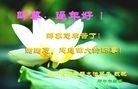 Published on 2/3/2014 ���ֹ�,��½�󷨵��ӹ�ףʦ���������(26��)
