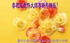 Published on 1/30/2014 ���ֹ�,��½�󷨵��ӹ�ףʦ���������(27��)
