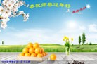 Published on 1/30/2014 ���ֹ�,��½�󷨵��ӹ�ףʦ���������(25��)
