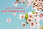 Published on 2/3/2014 ���ֹ�,��½�󷨵��ӹ�ףʦ���������(26��)
