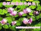 Published on 2/3/2014 ���ֹ�,��½�󷨵��ӹ�ףʦ���������(26��)

