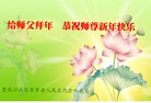 Published on 1/30/2014 ���ֹ�,��½�󷨵��ӹ�ףʦ���������(25��)
